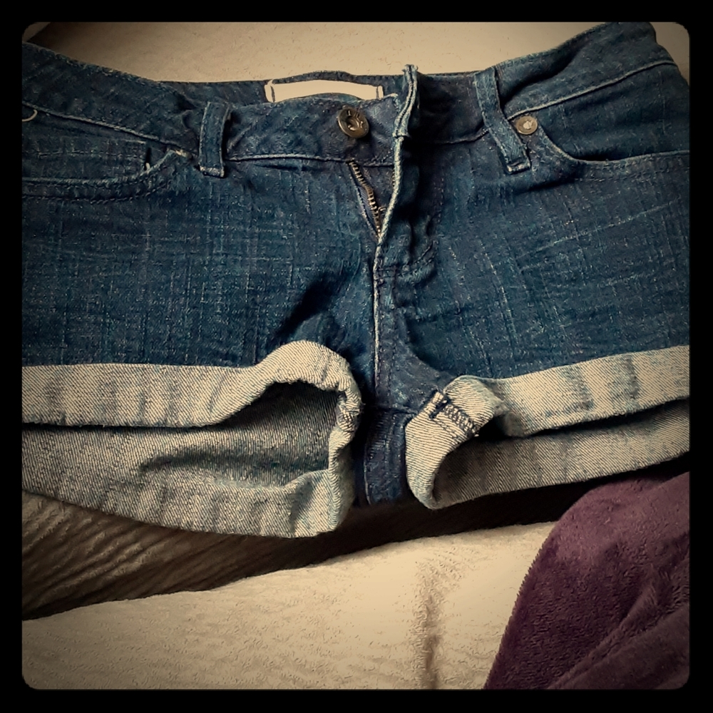 Bullhead Dark/Wash Shorts